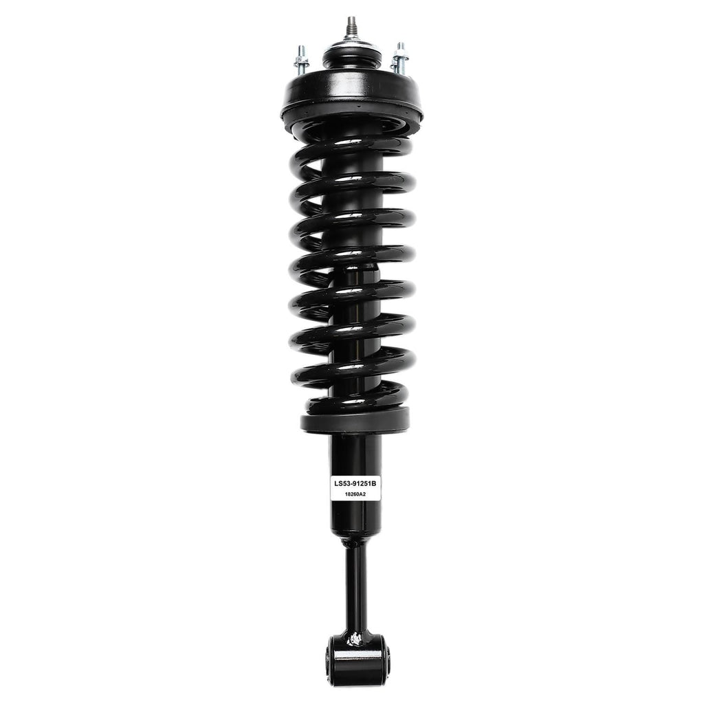 Suspension Strut and Coil Spring Assembly LS53-91251B