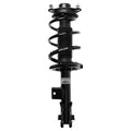 Loaded Strut LS53-91341L