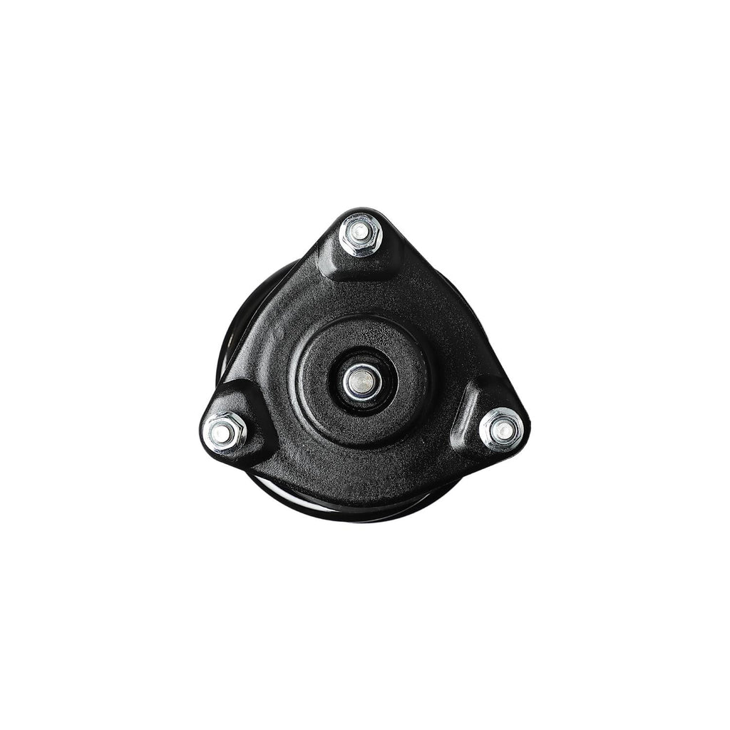 Loaded Strut LS53-91341L