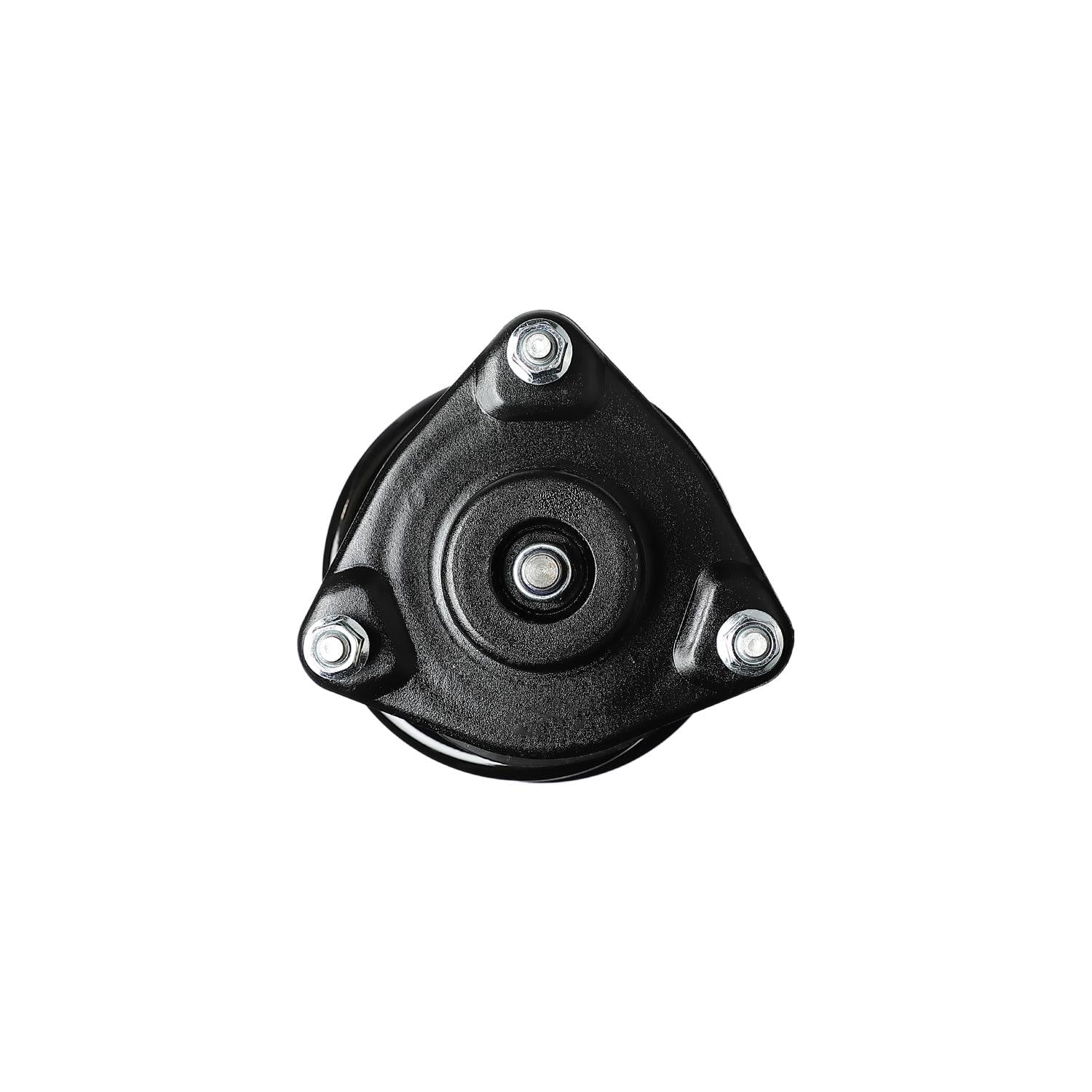 Loaded Strut LS53-91341L
