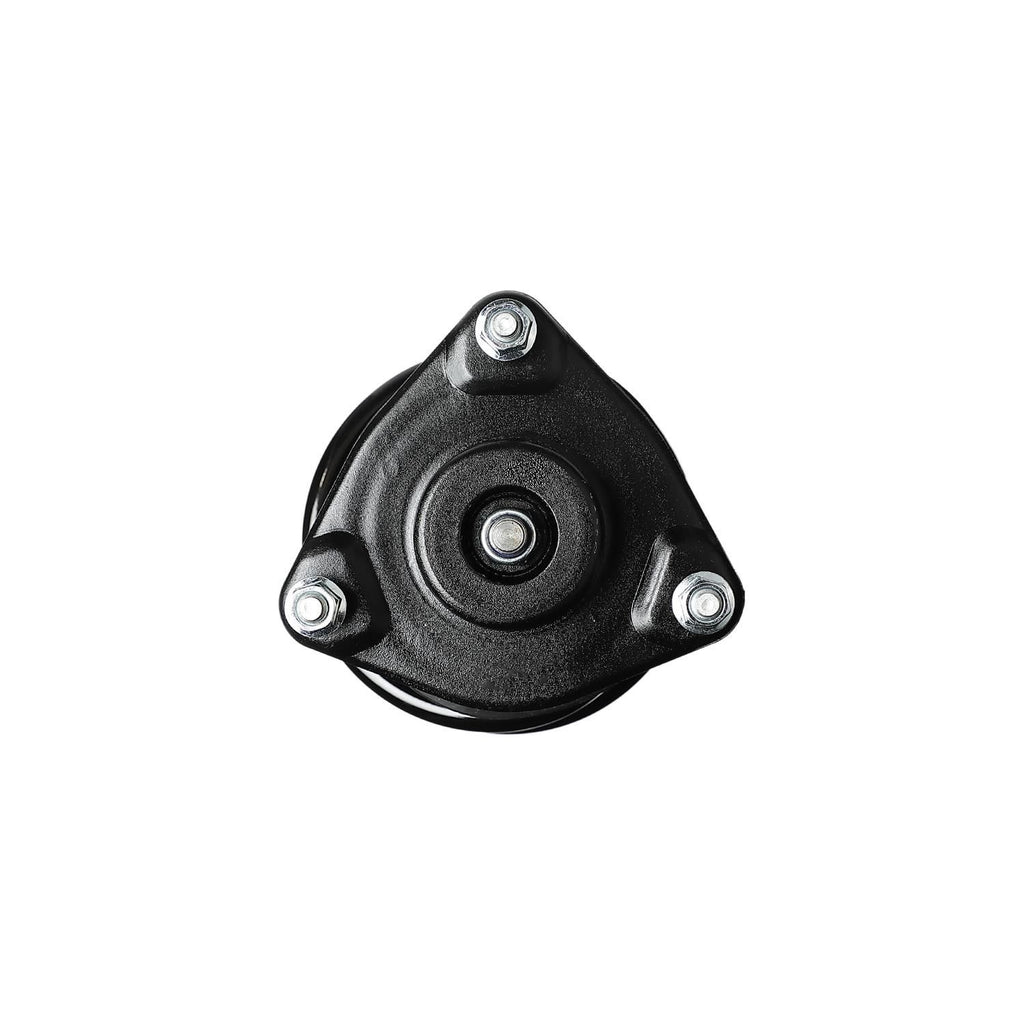 Loaded Strut LS53-91341R