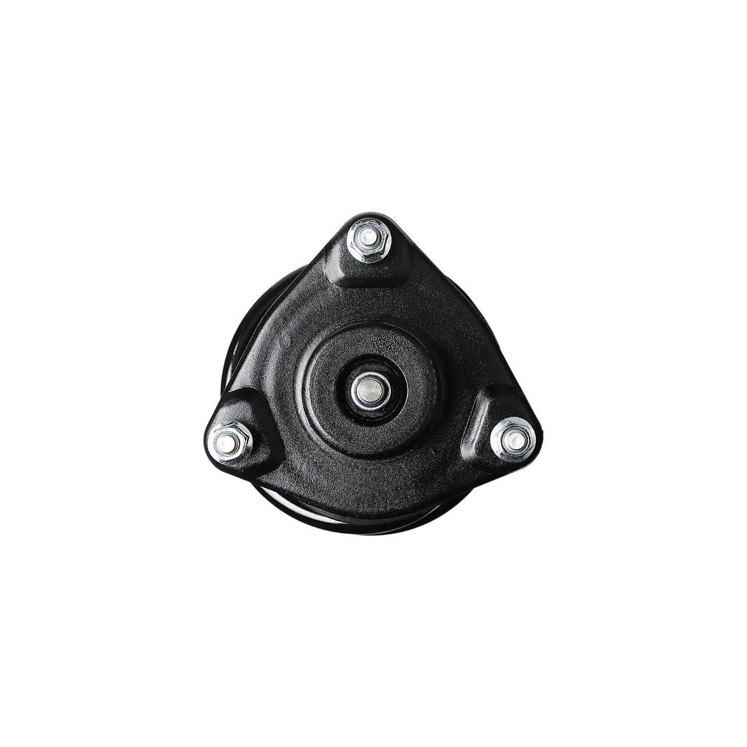 Loaded Strut LS53-91341R