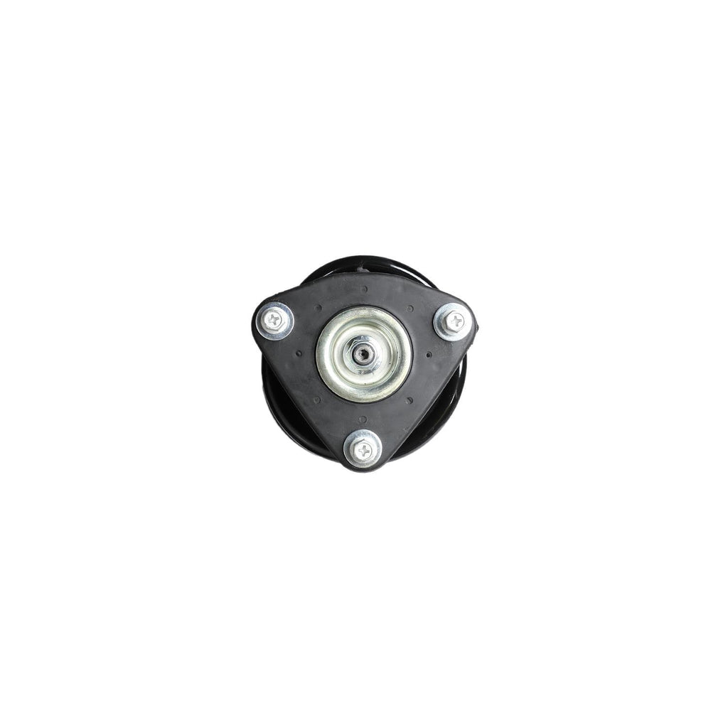Loaded Strut LS53-91391L