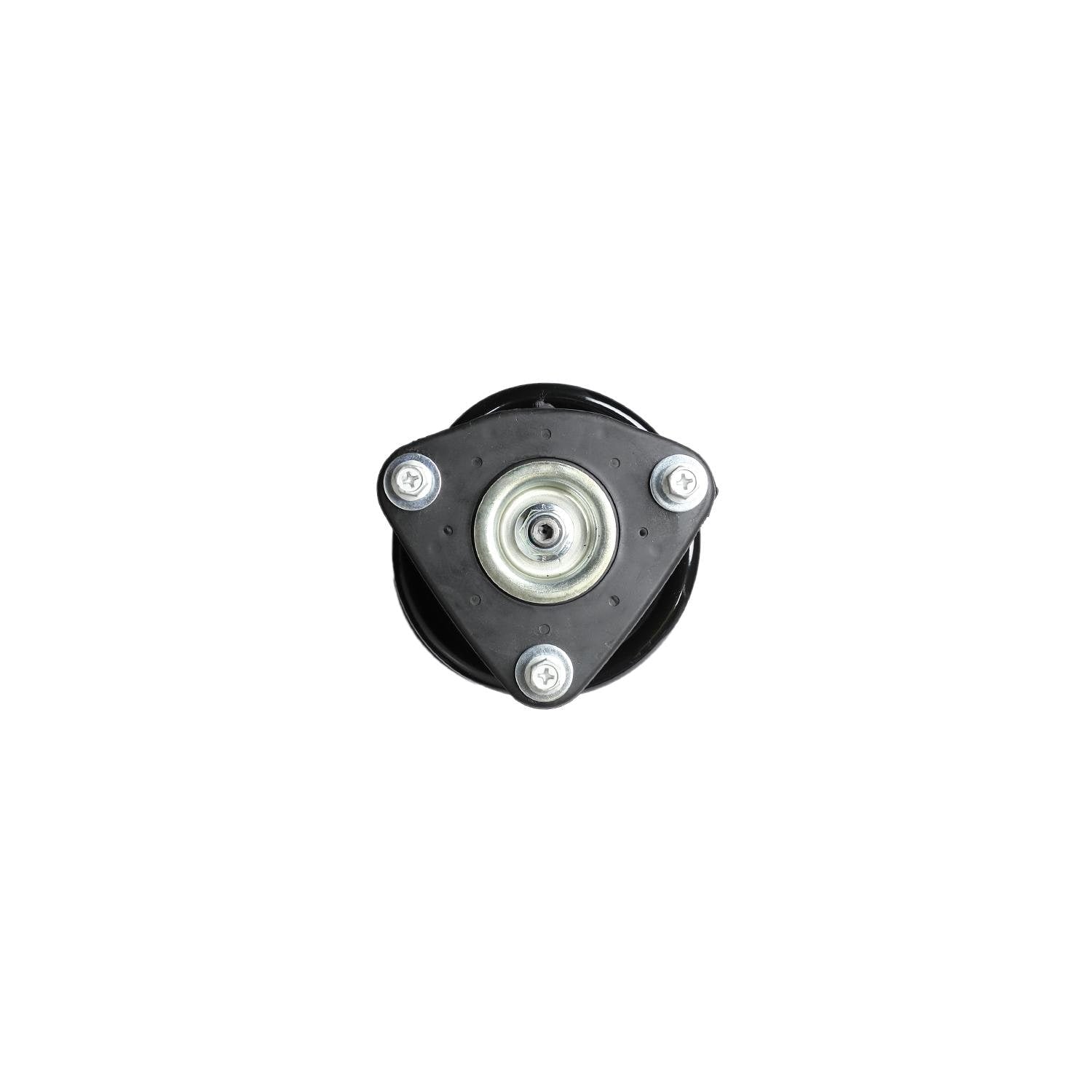 Loaded Strut LS53-91391L