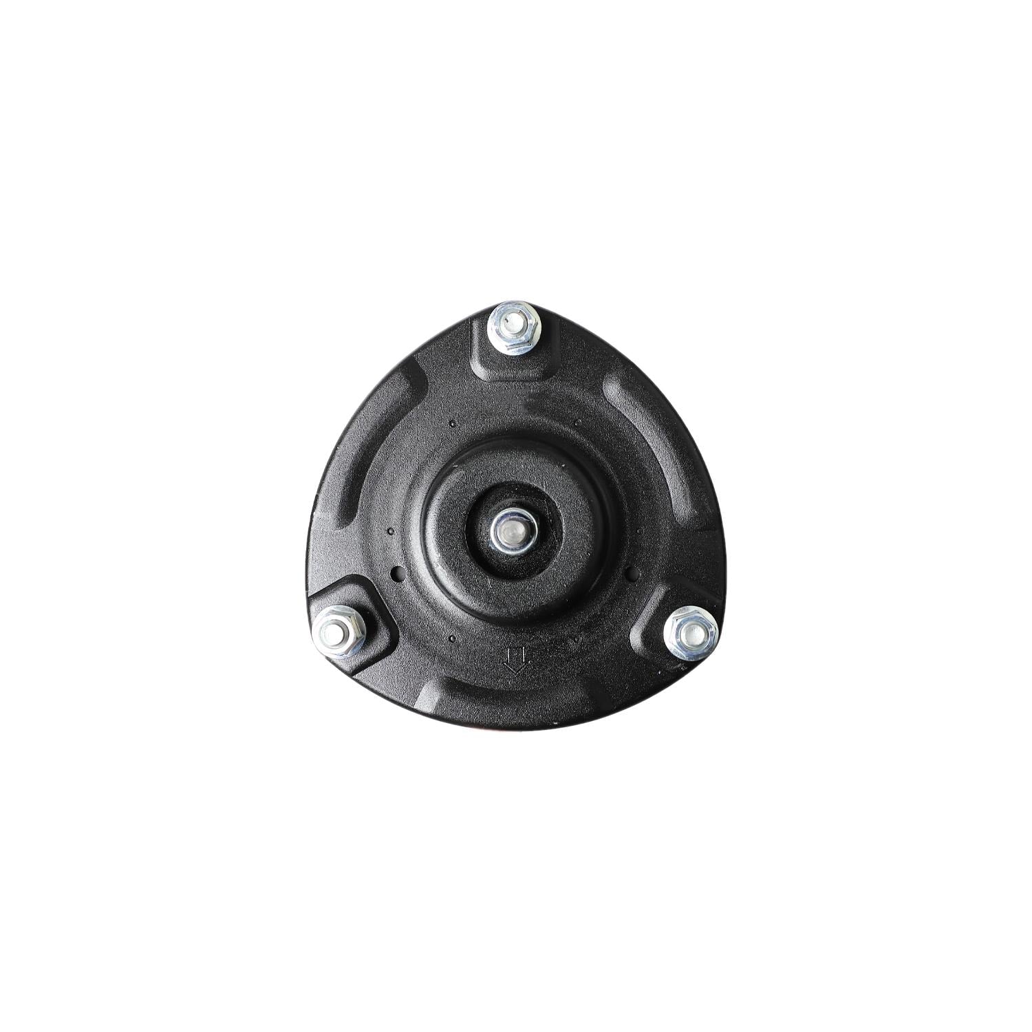 Loaded Strut LS53-91421L