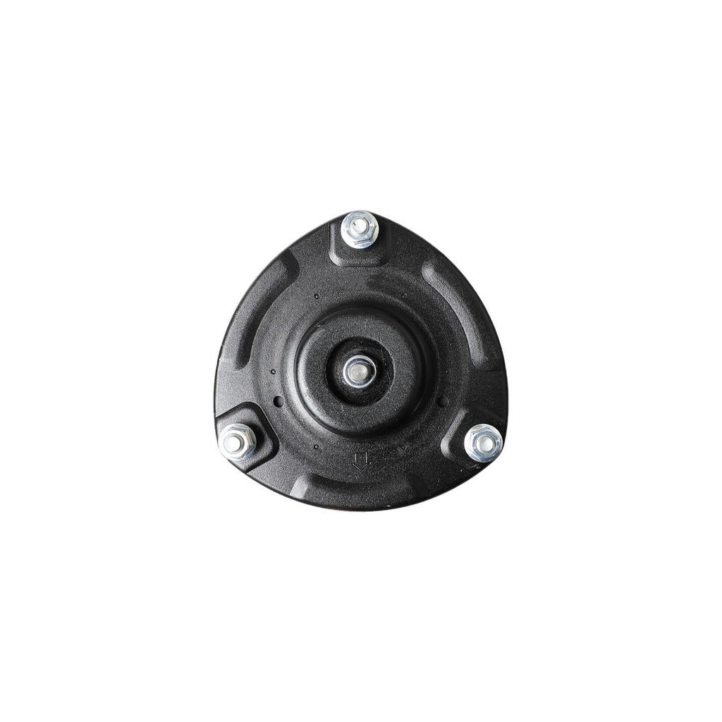Loaded Strut LS53-91421R