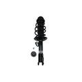 Loaded Strut LS53-91441L