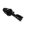 Loaded Strut LS53-91441R