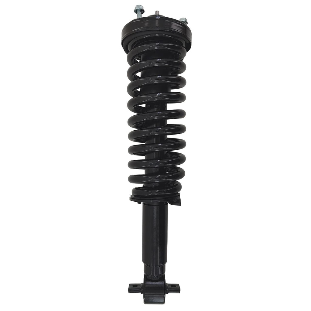 Gold Strut LS53-91471BG