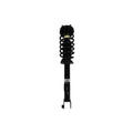 Suspension Strut and Coil Spring Assembly LS53-91511R