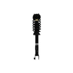 Suspension Strut and Coil Spring Assembly LS53-91511R