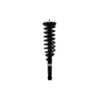 Suspension Strut and Coil Spring Assembly LS53-91531L