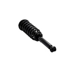 Suspension Strut and Coil Spring Assembly LS53-91531L