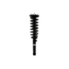 Suspension Strut and Coil Spring Assembly LS53-91531R