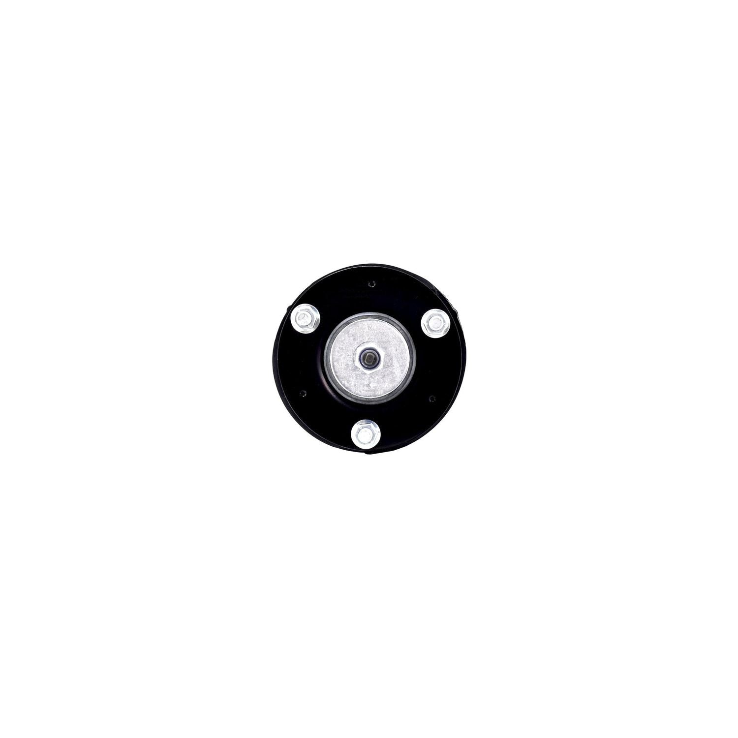 Suspension Strut and Coil Spring Assembly LS53-91531R