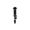 Suspension Strut and Coil Spring Assembly LS53-91561L