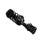 Suspension Strut and Coil Spring Assembly LS53-91561L