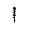 Suspension Strut and Coil Spring Assembly LS53-91561R