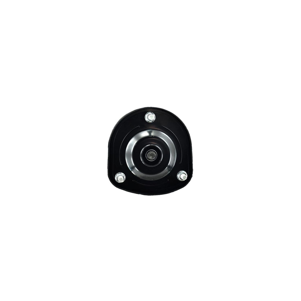 Loaded Strut LS53-91602R