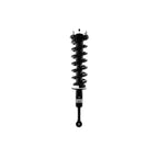 Suspension Strut and Coil Spring Assembly LS53-91641R
