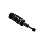 Suspension Strut and Coil Spring Assembly LS53-91641R