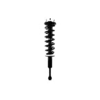 Suspension Strut and Coil Spring Assembly LS53-91641R