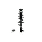 Suspension Strut and Coil Spring Assembly LS53-91651L