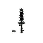Suspension Strut and Coil Spring Assembly LS53-91651R