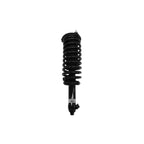 Suspension Strut and Coil Spring Assembly LS53-91681L