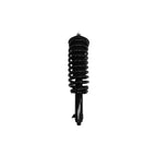 Suspension Strut and Coil Spring Assembly LS53-91681L