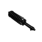 Suspension Strut and Coil Spring Assembly LS53-91681L