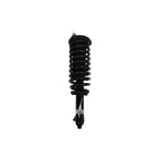 Suspension Strut and Coil Spring Assembly LS53-91681R