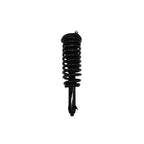 Suspension Strut and Coil Spring Assembly LS53-91681R