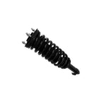 Suspension Strut and Coil Spring Assembly LS53-91681R