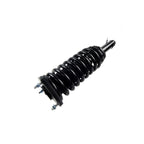 Suspension Strut and Coil Spring Assembly LS53-91681R