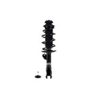 Suspension Strut and Coil Spring Assembly LS53-91691L