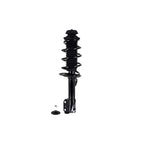 Suspension Strut and Coil Spring Assembly LS53-91691L