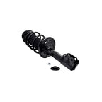 Suspension Strut and Coil Spring Assembly LS53-91691L