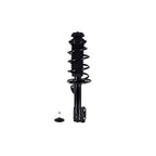 Suspension Strut and Coil Spring Assembly LS53-91691R