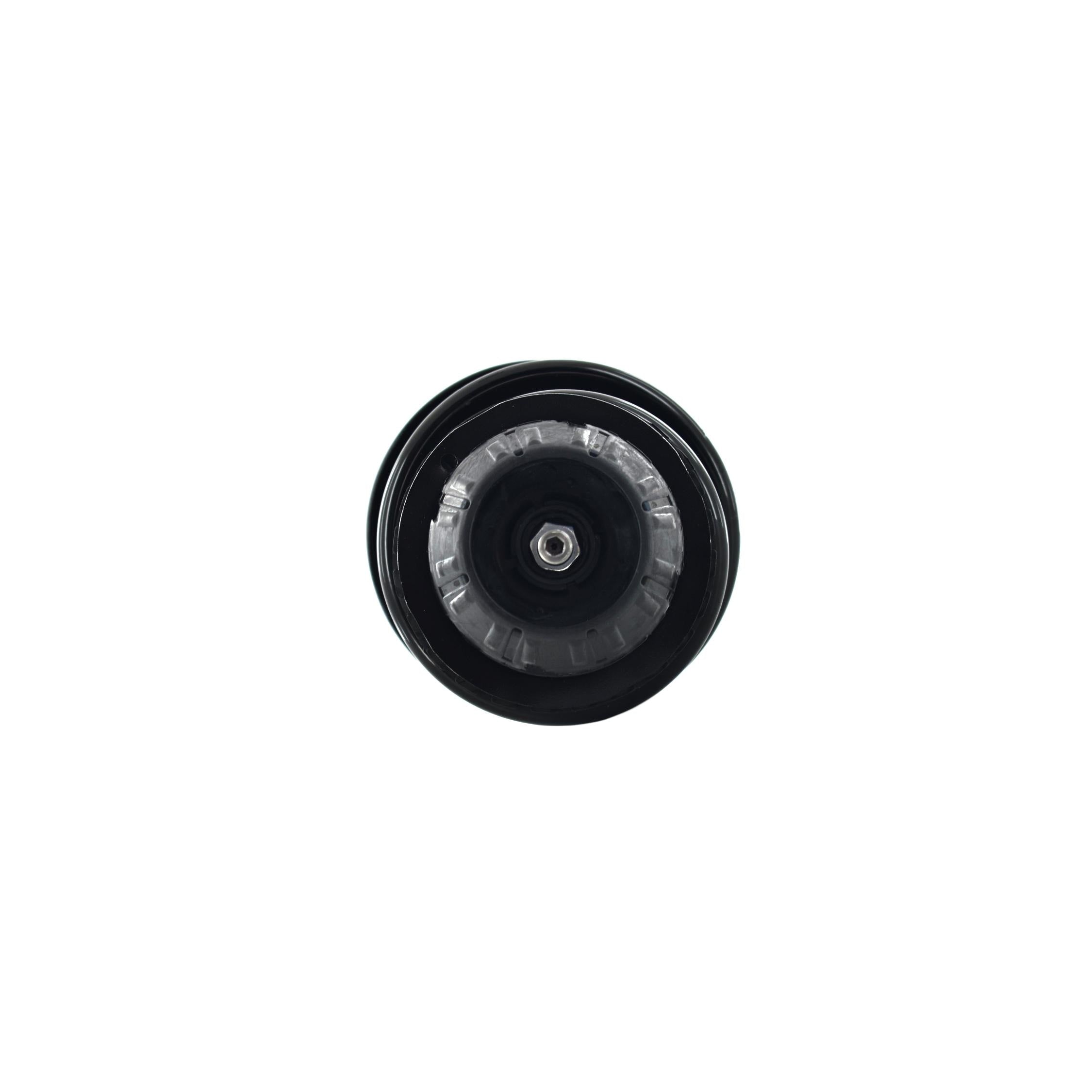 Suspension Strut and Coil Spring Assembly LS53-91691R