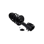 Suspension Strut and Coil Spring Assembly LS53-91691R