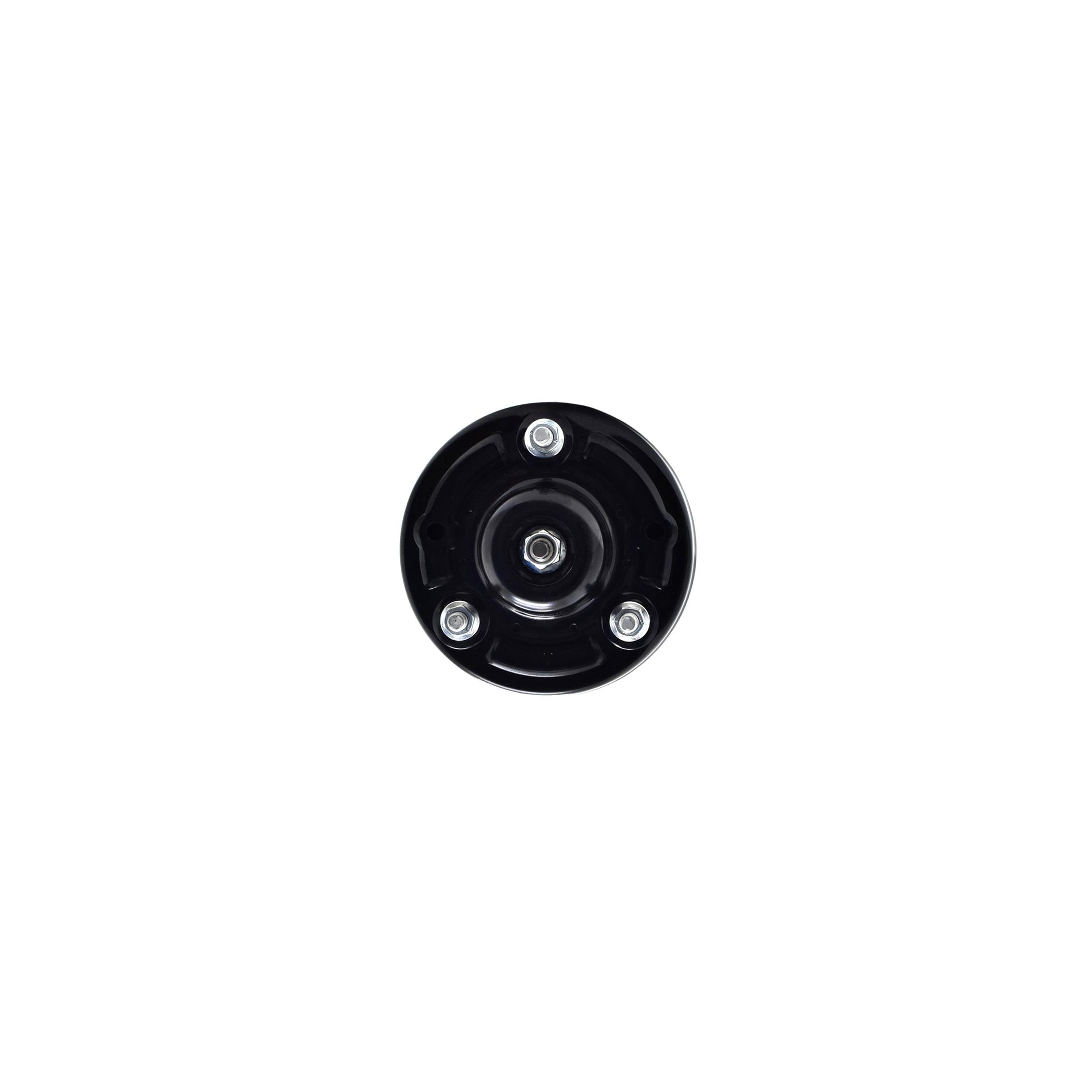 Suspension Strut and Coil Spring Assembly LS53-91731R