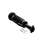 Suspension Strut and Coil Spring Assembly LS53-91731R