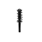Suspension Strut and Coil Spring Assembly LS53-91751B