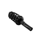 Suspension Strut and Coil Spring Assembly LS53-91751B