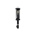Suspension Strut and Coil Spring Assembly LS53-91781B