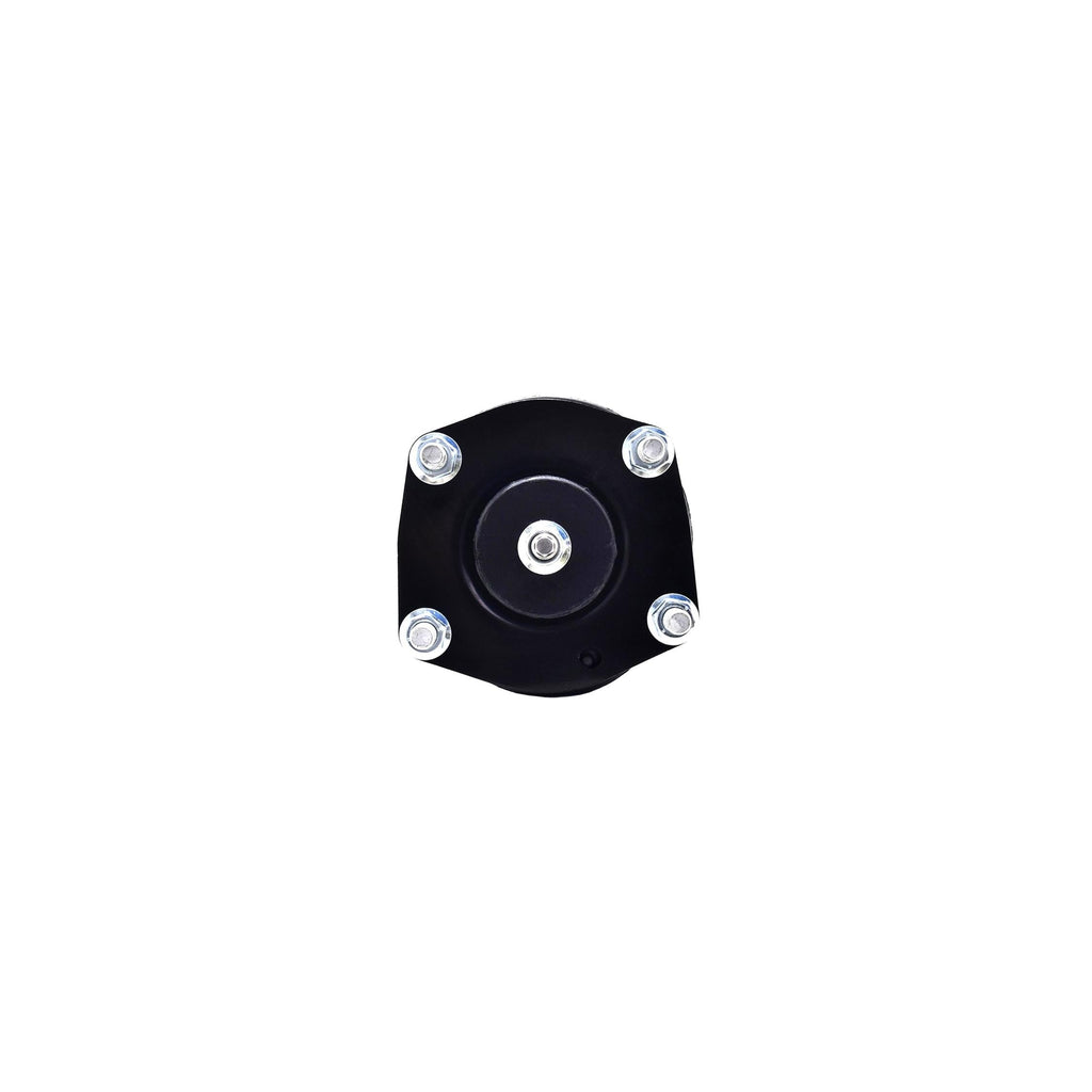 Suspension Strut and Coil Spring Assembly LS53-91781B