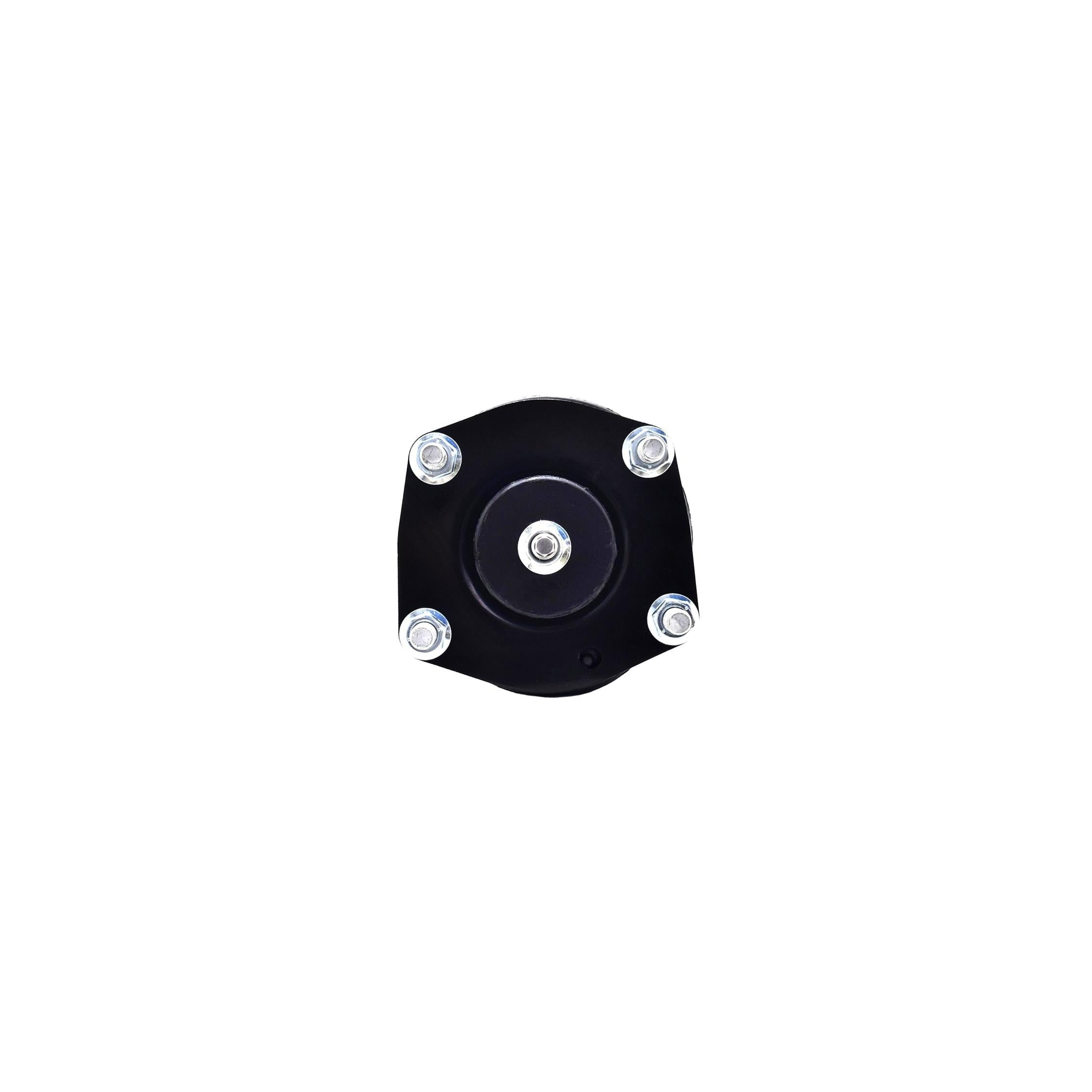Suspension Strut and Coil Spring Assembly LS53-91781B