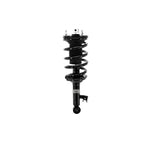 Suspension Strut and Coil Spring Assembly LS53-91791R