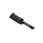 Suspension Strut and Coil Spring Assembly LS53-91831L